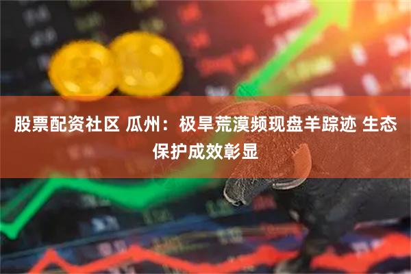 股票配资社区 瓜州：极旱荒漠频现盘羊踪迹 生态保护成效彰显